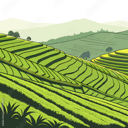 A vibrant illustration depicts layered rice terraces cascading down gentle slopes under a pale sky showcasing agricultural harmony high quality professional detailed