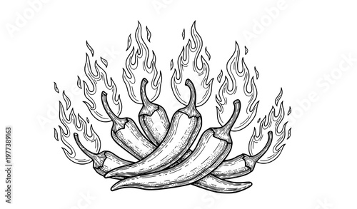 A vector graphic illustration of hot chili peppers on fire