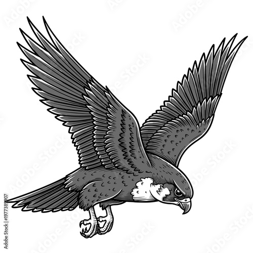 A detailed illustration of a raptor bird in mid-flight, wings spread wide.