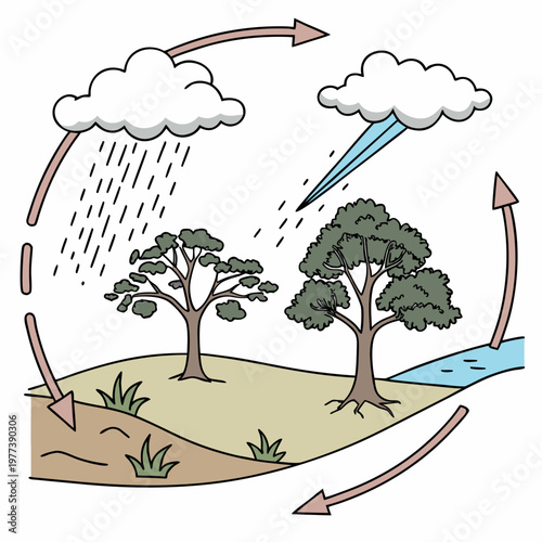 This illustration depicts the water cycle showing evaporation condensation precipitation and collection with trees and land high quality professional detailed modern elegant