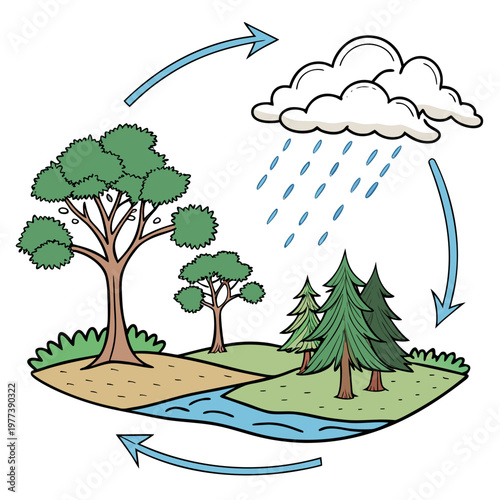 This colorful illustration depicts the water cycle showcasing evaporation condensation precipitation and collection processes in a natural setting high quality professional detailed