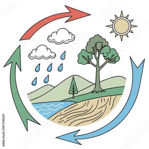 This illustration depicts the water cycle showcasing evaporation condensation precipitation and collection all within a circular ecosystem high quality professional detailed modern