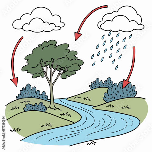 This illustration depicts the water cycle with a tree river clouds and arrows showing evaporation condensation and precipitation high quality professional detailed