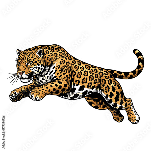 Illustration of a jaguar in a pouncing pose, showcasing its distinctive spotted coat and muscular build.