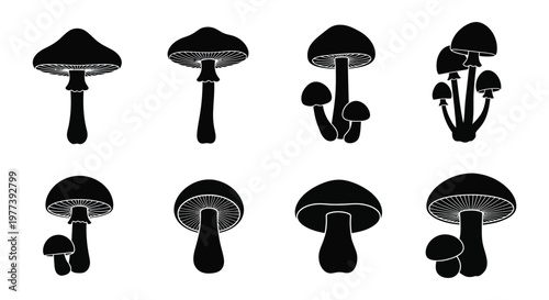 Collection of various mushroom shapes in a stark black silhouette