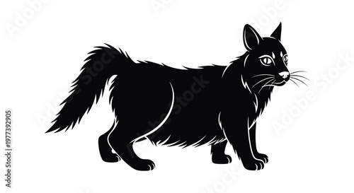 A striking black cat stands alert presented as a silhouette