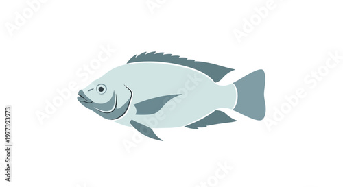 Gray Fish Side View.