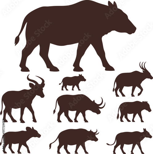 African buffalo silhouette herd multiple poses.