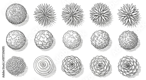 Top-down view of various potted plants, illustrating a collection of diverse botanical specimens in overhead perspective