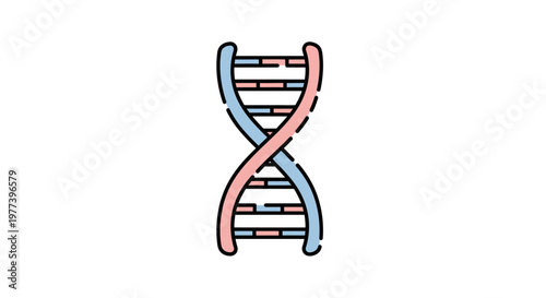 DNA Double Helix Structure Model.