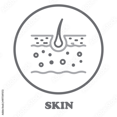 Skin Layer Icon