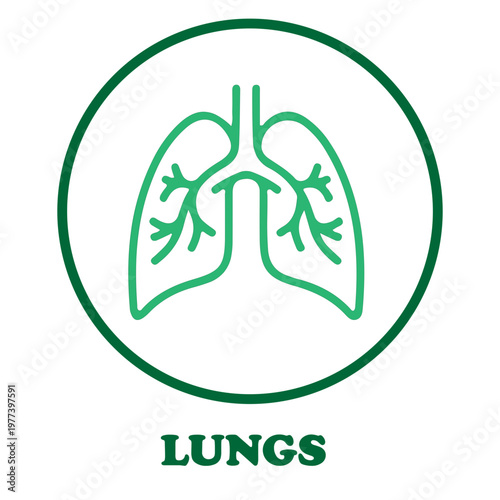 Lungs Icon