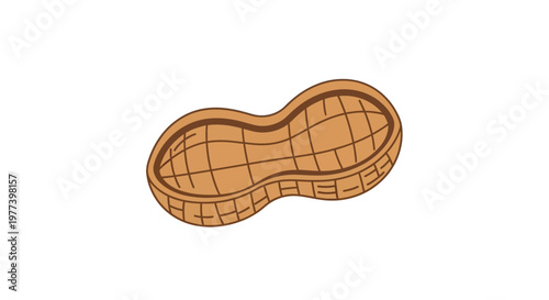 Peanut Shell Illustration.