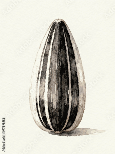 Healthy Snack Sunflower Seed isolated watercolor vector illustration svg