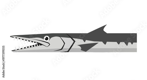 Sawfish Illustration Closeup.