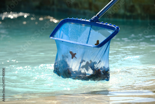 Skimming leaves from pool concept closeup with net for upkeep and maintenance concept.