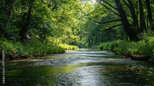 A peaceful river cutting through a nature reserve, surrounded by lush trees and wildlife.