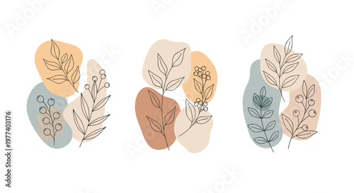 Three separate abstract botanical art pieces with black line drawings of branches over terracotta and blue organic shapes.