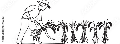 Single one line drawing of young male farmer was harvesting rice and there was also rice that had been tied up. Farming challenge minimal concept. One line draw graphic design vector