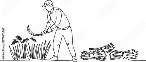 Single one line drawing of young male farmer was harvesting rice and there was also rice that had been tied up. Farming challenge minimal concept. One line draw graphic design vector