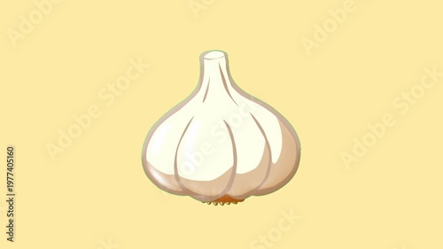 2D Animated Whole Garlic Bulb with Natural Texture for Cooking Ingredient