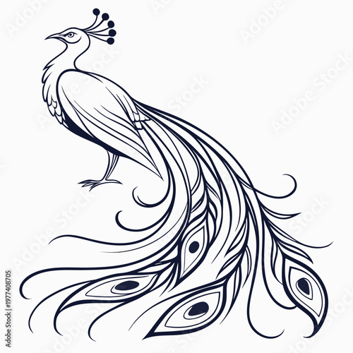 A beautiful black and white line drawing of a peacock standing with long feathers and a decorative crown on its head in a elegant pose