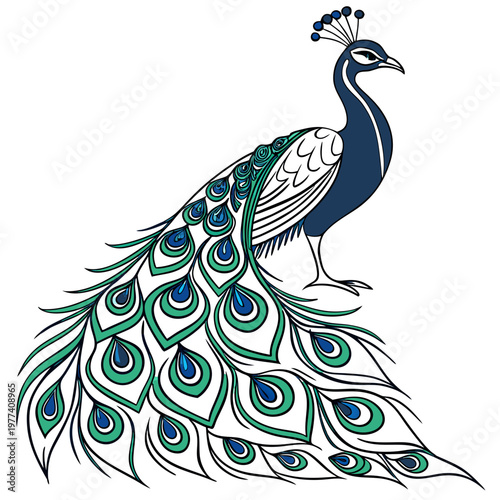 A majestic peacock with vibrant blue and green feathers spread out standing proudly
