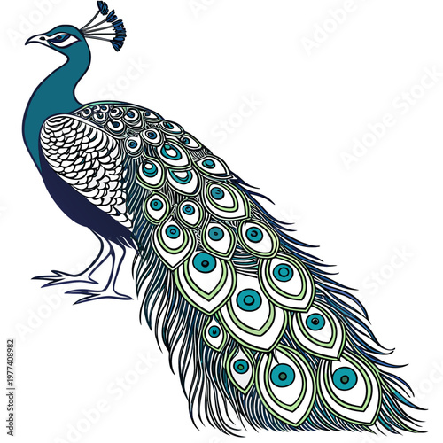 A colorful peacock with blue and green feathers standing proudly with its tail feathers spread out