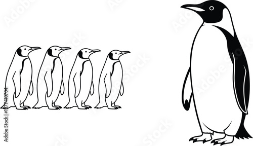 Penguin outline collection vector illustration with black and white birds, simple animal line art set for coloring, education and wildlife design