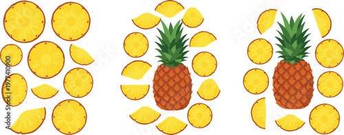 Pineapple fruit collection whole and sliced tropical fruit cartoon vector illustration set of fresh juicy summer food isolated on light background