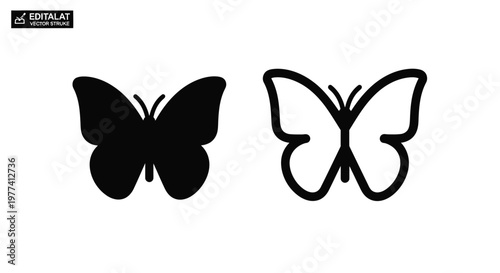 Two butterfly designs one filled and one outlined a striking silhouette