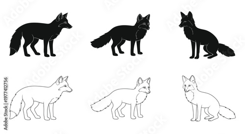Three foxes displayed in varying styles including a bold silhouette