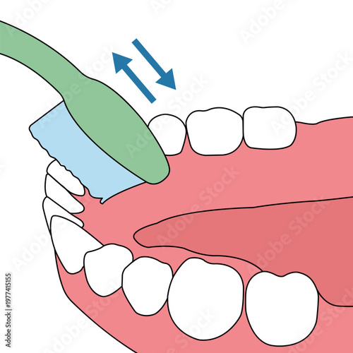 Proper Brushing Technique for Cleaning Inner Surfaces of Lower Front Teeth