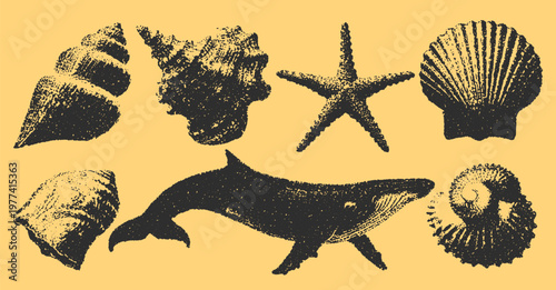 Vintage vector illustration set of sea creatures, including shells, starfish, and fish in black on a yellow background. This detailed artwork showcases natural coastal elements.