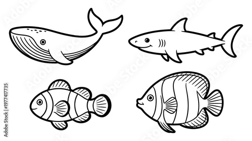 A simple line drawing displays a whale, shark, clownfish, and angelfish in a collection.