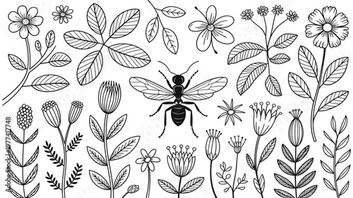 An intricate ink drawing illustrates a large ant surrounded by various types of wild flowers.