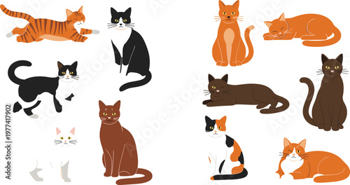 Domestic cat collection with different breeds poses and colors cute pet cartoon vector illustration set isolated on light background