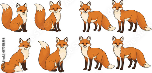 Fox cartoon character collection with different poses sitting standing and walking vector illustration set of cute forest wildlife animals