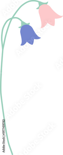 Simple pink and blue bellflowers on long stem 2D flat vector