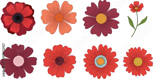 Red Flower Set with Various Bloom Shapes Floral Botanical Collection Garden Plants Cartoon Flat Illustration Isolated on White Background