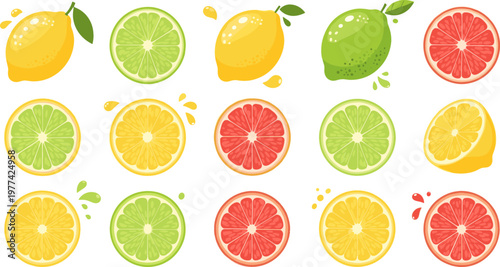 Citrus Fruit Set with Lemon Lime and Grapefruit Slices Fresh Juicy Collection Healthy Food Cartoon Illustration Isolated on White Background