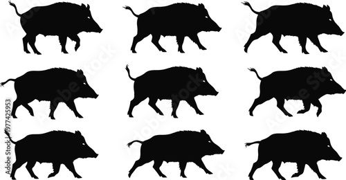 Wild boar motion silhouettes, animal walking running cycle, black silhouette illustration, wildlife locomotion study, hunting nature design, animation reference art