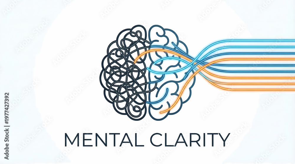 Fototapeta premium A stylized illustration of a brain with tangled and organized thoughts