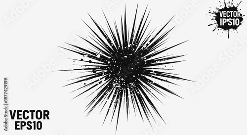 Abstract black and white explosion of thorns resembling a monochromatic firework flower blooming like a dark dandelion against the night sky