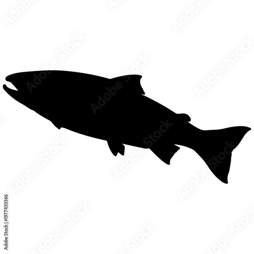 Black Silhouette of a Salmon Fish Swimming
