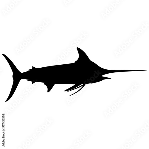 Silhouette of a marlin fish, ocean predator with bill, isolated on white