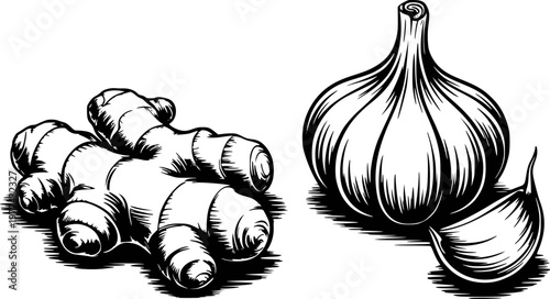 Black and white of fresh ginger root and garlic bulb with clove