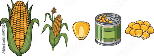 Natural Aloe Vera Skin Care Product Vector Collection Featuring Fresh Leaves, Gel Serum, and Cosmetic Packaging for Organic Beauty Branding and Holistic Wellness Design