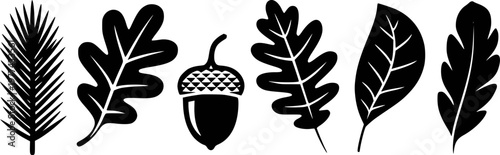 Black silhouette collection of autumn leaves and pine needles white background leaf