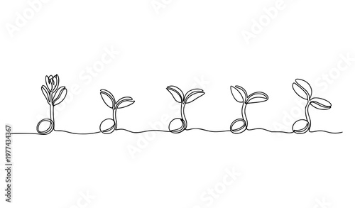 Continuous one-line plant growth stages vector illustration seeds sprouting sprouts editable stroke